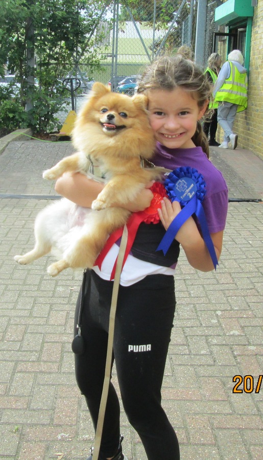 Dog Show Winner